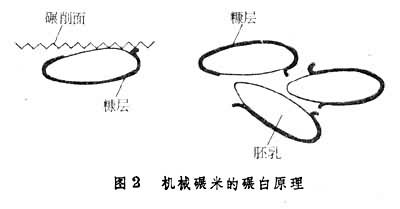 机械碾米的碾白原理