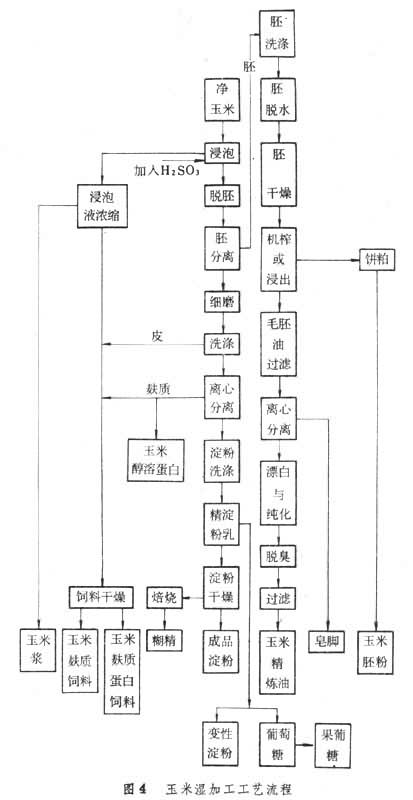 玉米湿加工工艺流程